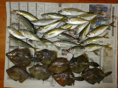 28.10.26 006.jpg