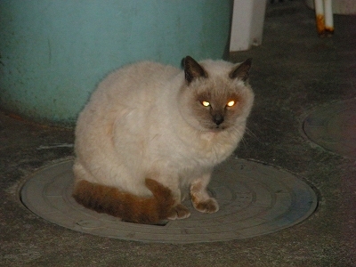 28.12.31 003.jpg