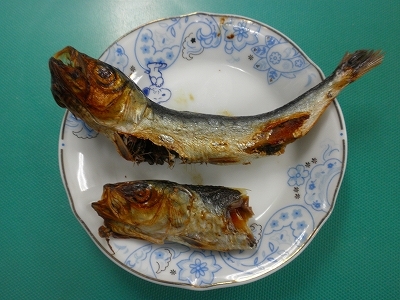 28.6.2 001.jpg