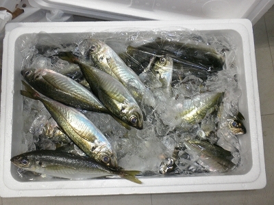 28.6.22 012.jpg