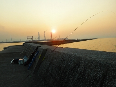 28.8.13.14 001.jpg