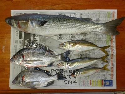 28.9.28 005.jpg