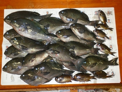 29.1.3 012.jpg