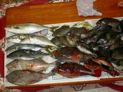 29.10.25 010.jpg