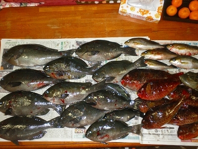 29.12.6 006.jpg