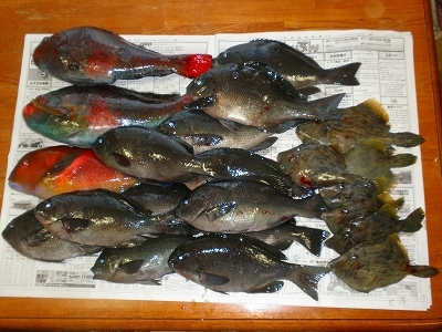 29.2.1 006.jpg