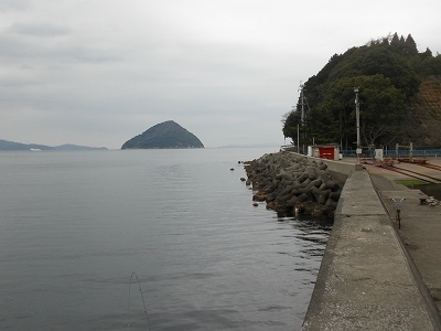 29.2.22 003.jpg