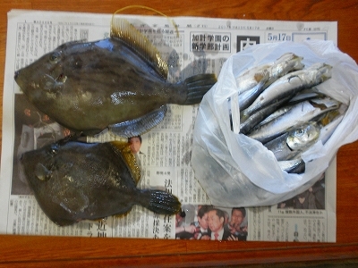 29.5.18 007.jpg