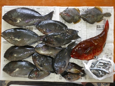 29.6.23 007.jpg