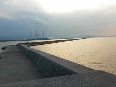 29.7.20.21 001.jpg