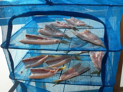30.1.17 008.jpg