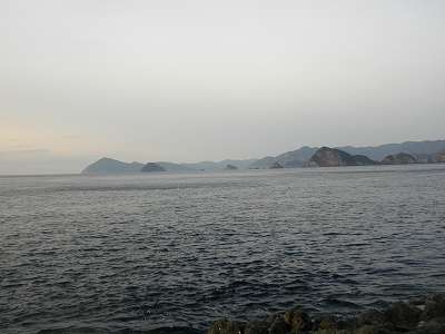 30.1.31 005.jpg