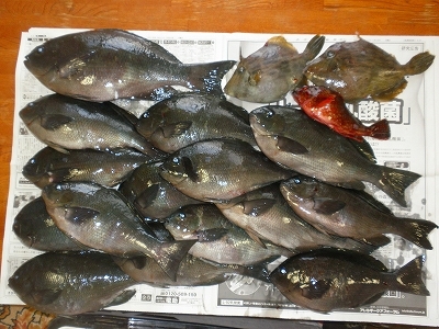 30.1.31 006.jpg