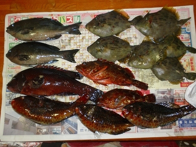 30.1.4 006.jpg
