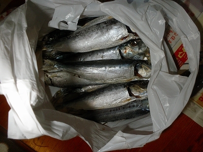 30.1.4 007.jpg