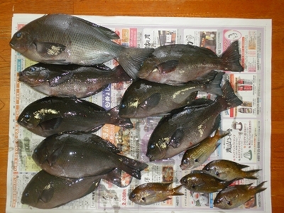 30.10.31 008.jpg