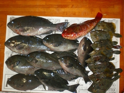 30.11.21 005.jpg