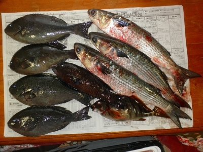 30.2.21 019.jpg
