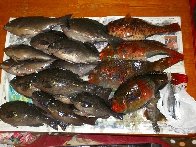 30.3.14 012.jpg
