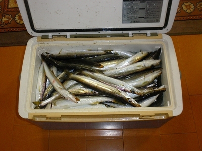 30.3.21 004.jpg