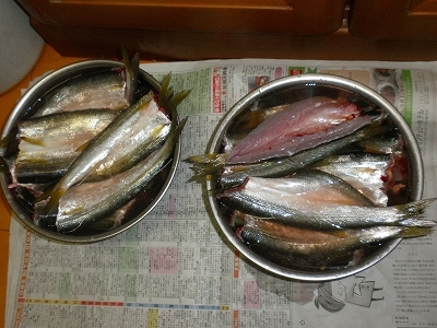 30.3.21 006.jpg