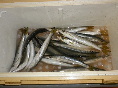 30.3.21 009.jpg