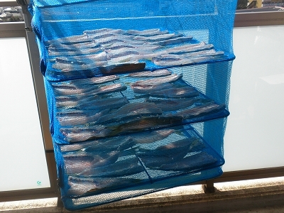 30.3.21 011.jpg