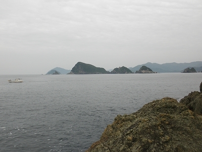 30.5.25 004.jpg