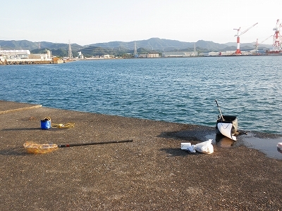 30.8.18.19 005.jpg