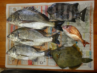 30.9.26 008.jpg