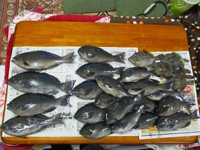 31.1.11 005.jpg