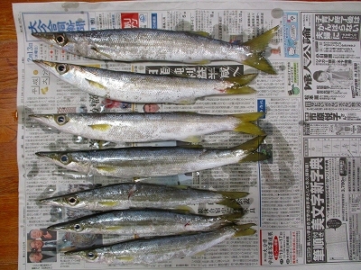 31.2.14 002.jpg