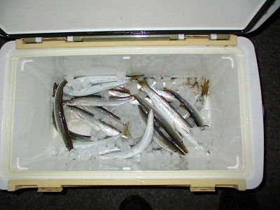 31.2.27 003.jpg