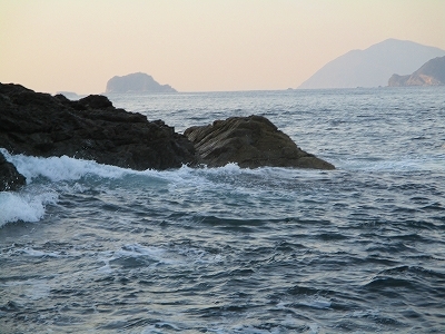 31.3.20 006.jpg