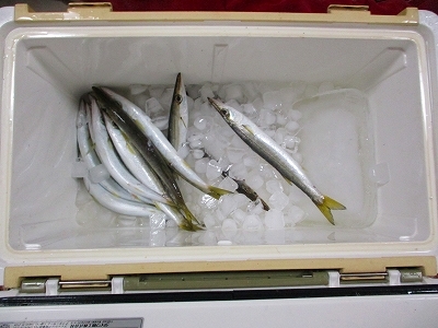 31.3.6 004.jpg