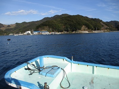 IMG_0852.jpg