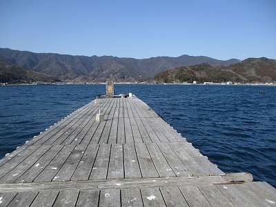 IMG_0996.jpg