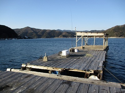 IMG_1040.jpg