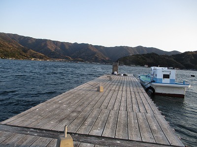 IMG_1248.jpg