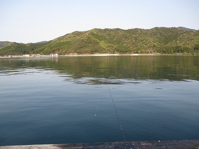 IMG_1333.jpg