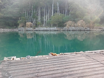 P4010003.jpg