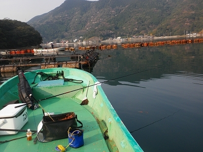 P4010004.jpg