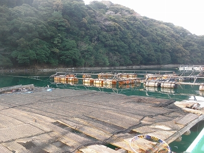 P4010005.jpg